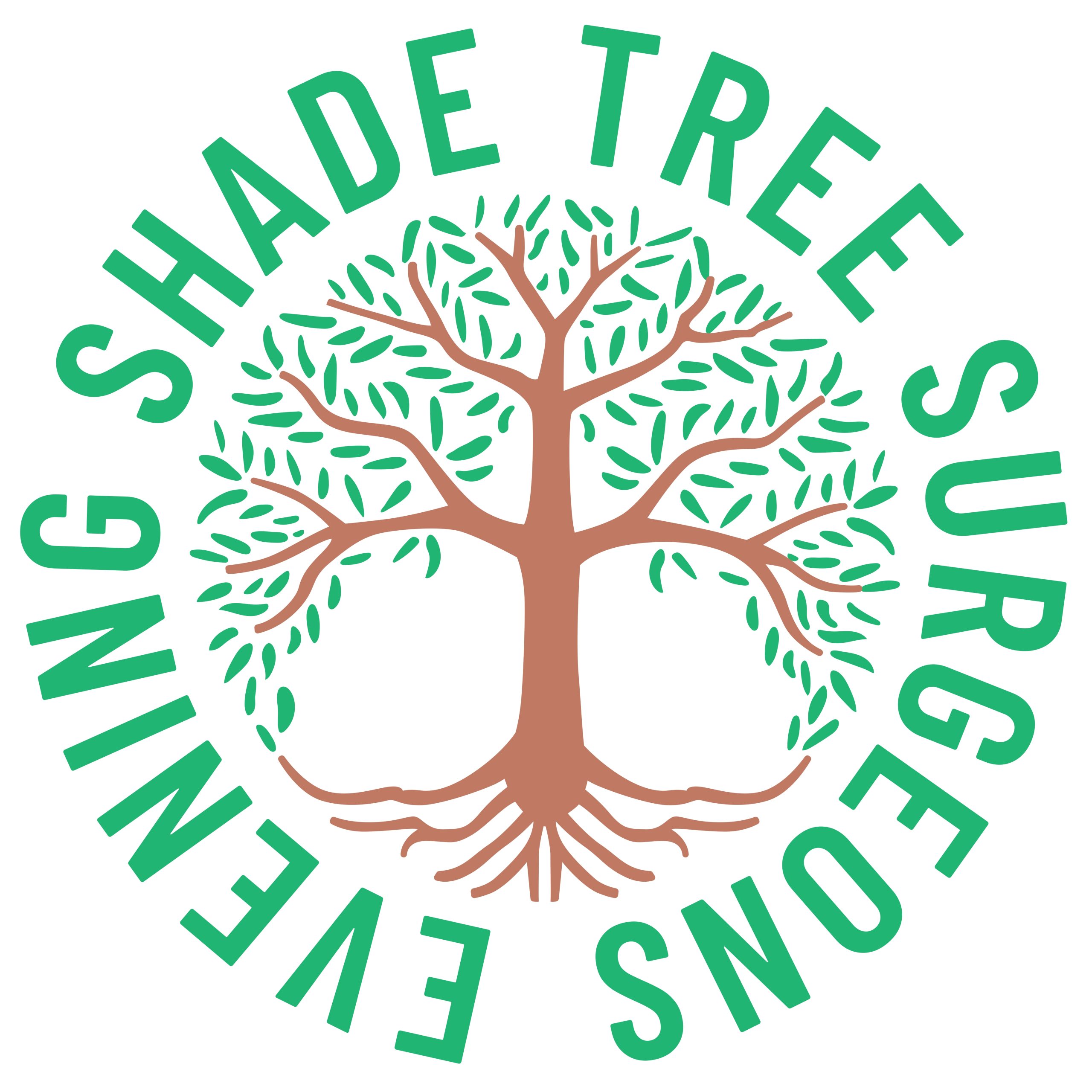 Evening Shade Tree Surgeons